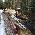 Butorowy 
